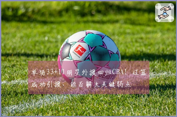 单场33+11明星外援回归CBA！辽篮成功引援，能否解决关键弱点