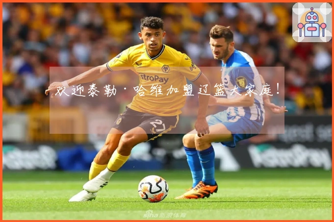 欢迎泰勒·哈维加盟辽篮大家庭！