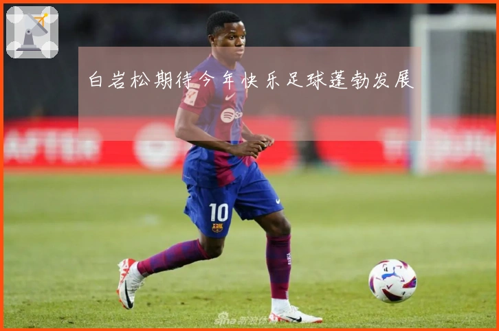 白岩松期待今年快乐足球蓬勃发展